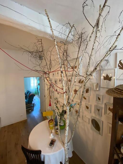 Casa Degli Alberi Torino