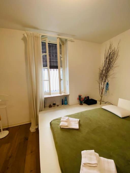 Casa Degli Alberi Appartamento Torino