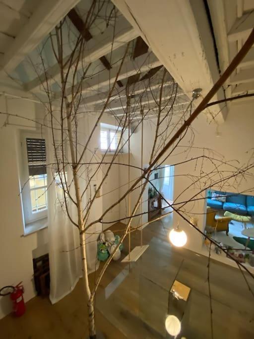 Casa Degli Alberi Appartamento