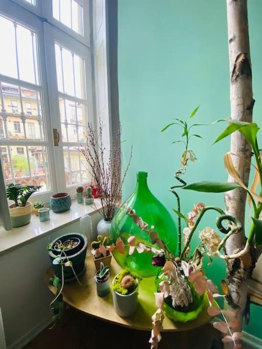 Appartamento Casa Degli Alberi *